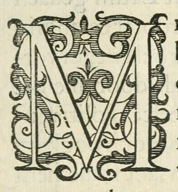 An illustration from Dan. Heinsii Nederduytsche poemata, 1618, leaf 11