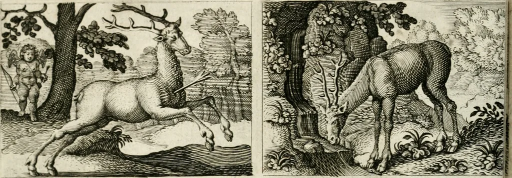 An illustration from Dan. Heinsii Nederduytsche poemata, 1618, leaf 117