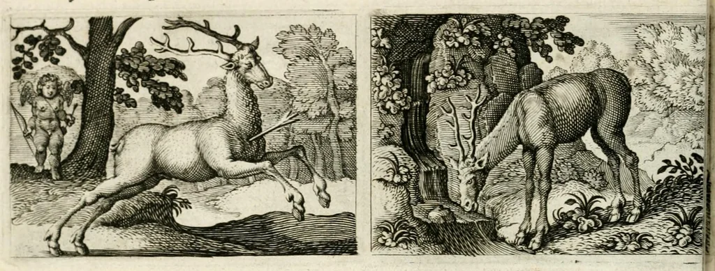 An illustration from Dan. Heinsii Nederduytsche poemata, 1618, leaf 120