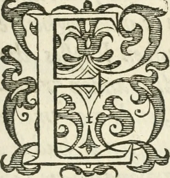 An illustration from Dan. Heinsii Nederduytsche poemata, 1618, leaf 124