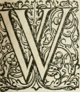 An illustration from Dan. Heinsii Nederduytsche poemata, 1618, leaf 132