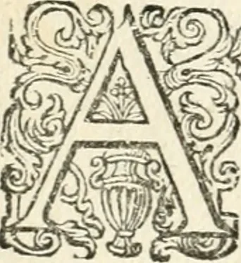 An illustration from Dan. Heinsii Nederduytsche poemata, 1618, leaf 39
