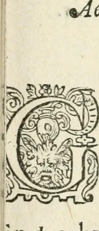 An illustration from Dan. Heinsii Nederduytsche poemata, 1618, leaf 40