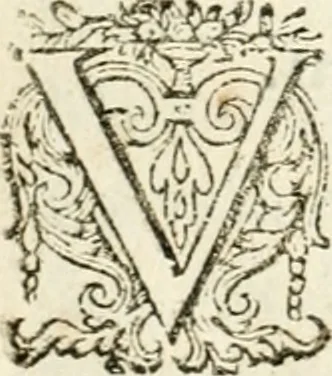 An illustration from Dan. Heinsii Nederduytsche poemata, 1618, leaf 45