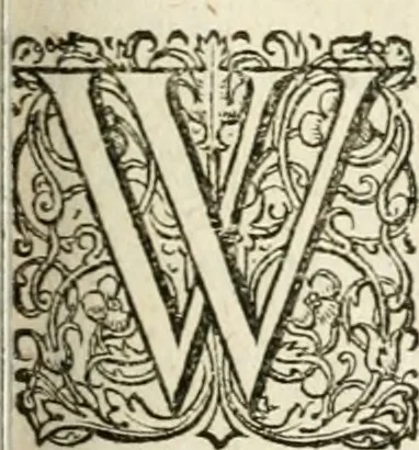An illustration from Dan. Heinsii Nederduytsche poemata, 1618, leaf 46