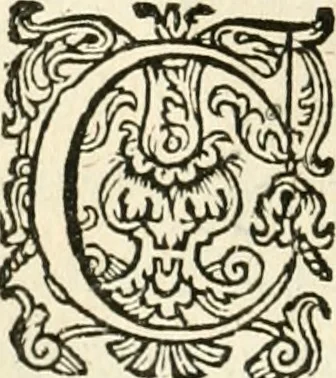 An illustration from Dan. Heinsii Nederduytsche poemata, 1618, leaf 53