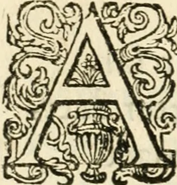 An illustration from Dan. Heinsii Nederduytsche poemata, 1618, leaf 67