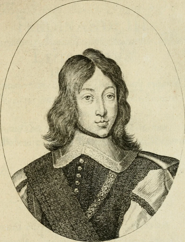 An illustration from Helicon Boemo-Hercynius : in quo nouem applausibus coronatur neo-rex Boemiae Leopoldvs, 1656, leaf 6