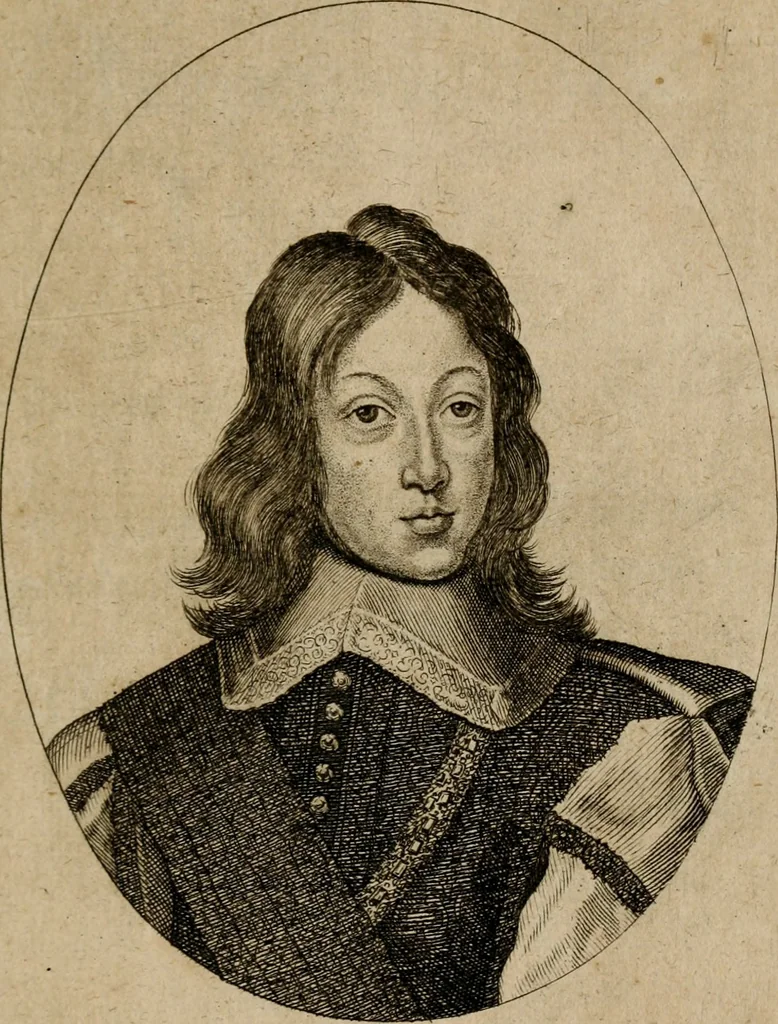 An illustration from Helicon Boemo-Hercynius, in quo nouem applausibus coronatur Neo-Rex Boemiæ Leopoldus, 1656, leaf 8