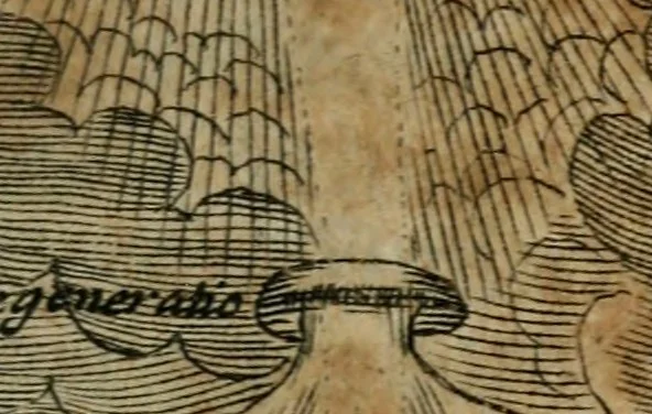 An illustration from Helleleuchtender Hertzens-Spiegel : worinnen vermittelst einer dreyfachen Vorstellung ..., I. Das Erkäntniss, II. Die Übung, und dann III. Das Geheimniss der wahren Gottseligkeit, das ist, die gantze That, Krafft und Hertzens-Theologia ... mit zur Sache hochdienlichen Kupffer-Figuren ..., samt einem kurzgefasten, doch vollständigen Gebet-Büchlein, oder Andachts-Speigel, 1680, leaf 58