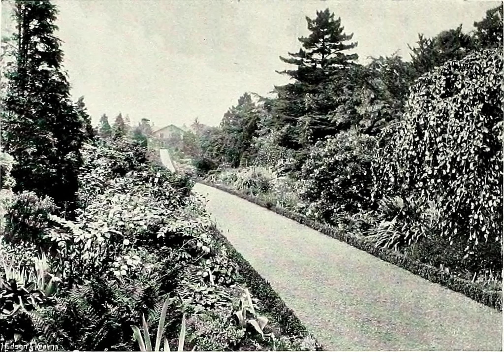 An illustration from Henderson's picturesque gardens and ornamental gardening illustrated, 1908, leaf 100