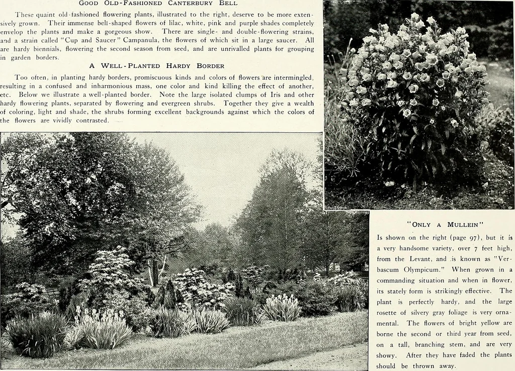 An illustration from Henderson's picturesque gardens and ornamental gardening illustrated, 1908, leaf 101