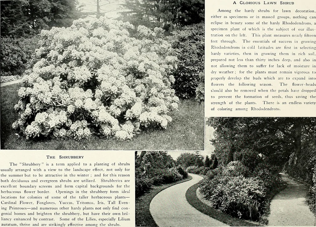 An illustration from Henderson's picturesque gardens and ornamental gardening illustrated, 1908, leaf 106