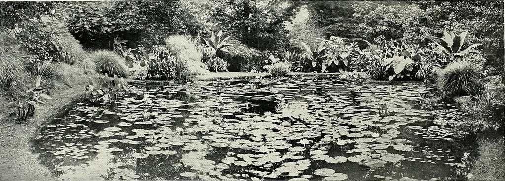 An illustration from Henderson's picturesque gardens and ornamental gardening illustrated, 1908, leaf 114