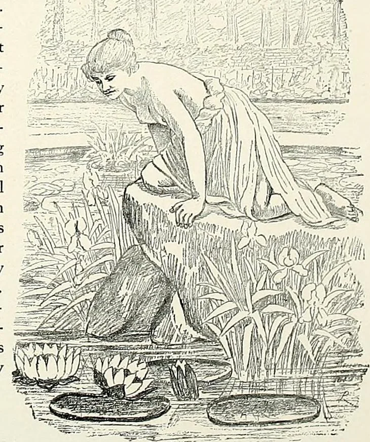 An illustration from Henderson's picturesque gardens and ornamental gardening illustrated, 1908, leaf 115