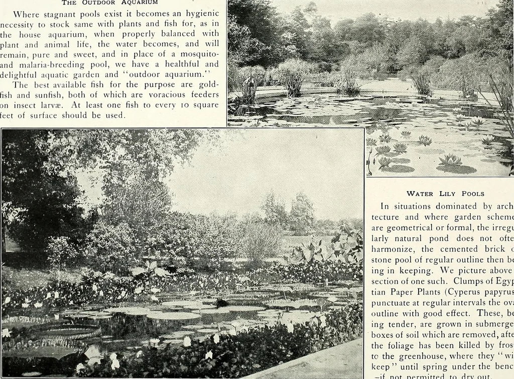 An illustration from Henderson's picturesque gardens and ornamental gardening illustrated, 1908, leaf 117
