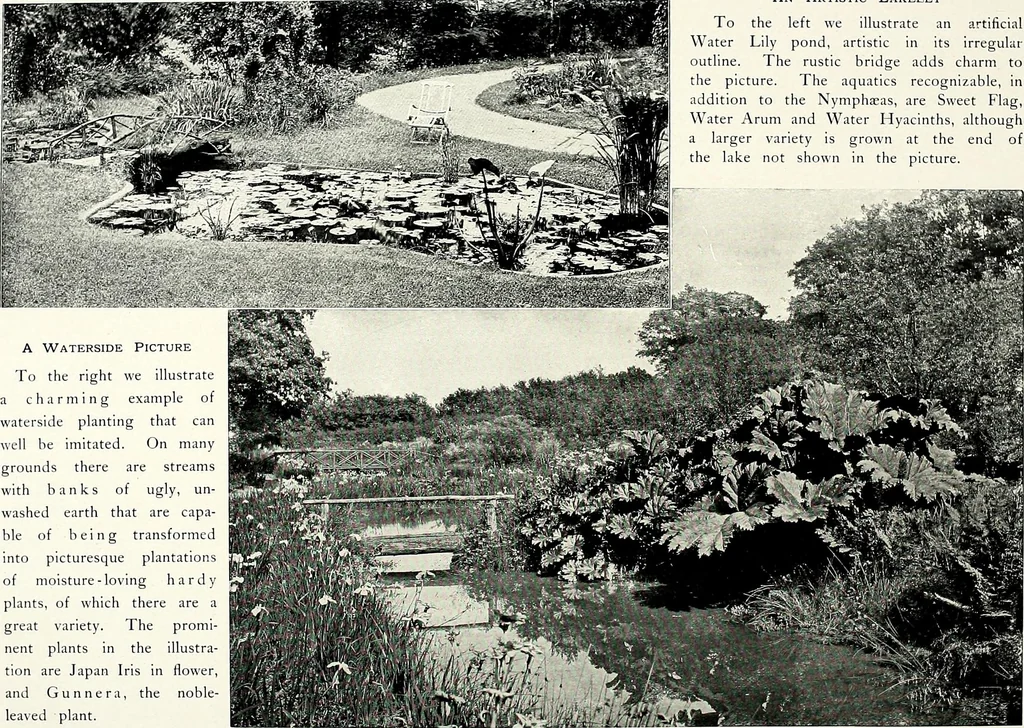 An illustration from Henderson's picturesque gardens and ornamental gardening illustrated, 1908, leaf 118