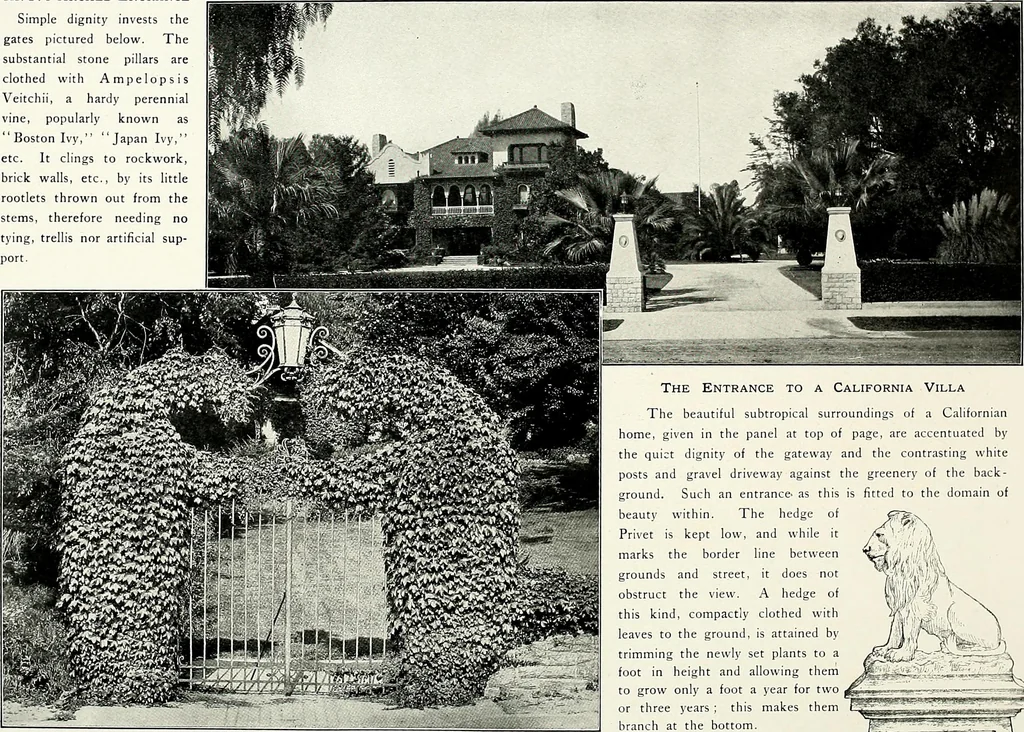 An illustration from Henderson's picturesque gardens and ornamental gardening illustrated, 1908, leaf 12