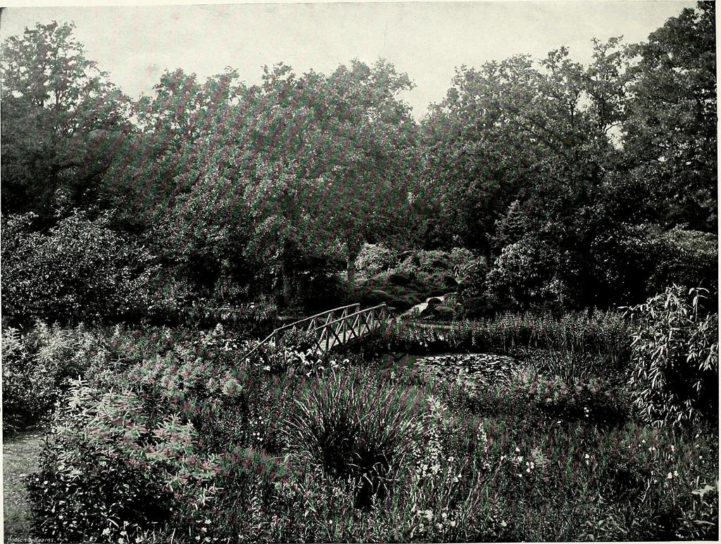 An illustration from Henderson's picturesque gardens and ornamental gardening illustrated, 1908, leaf 120
