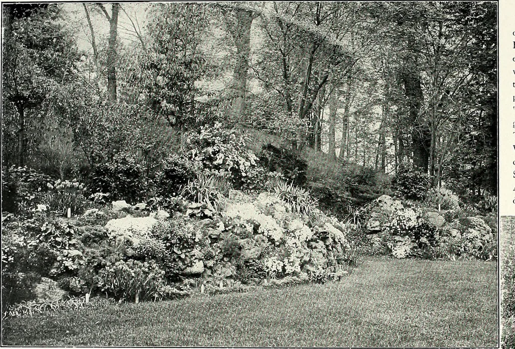 An illustration from Henderson's picturesque gardens and ornamental gardening illustrated, 1908, leaf 122