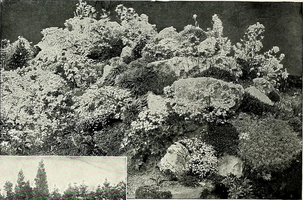 An illustration from Henderson's picturesque gardens and ornamental gardening illustrated, 1908, leaf 124