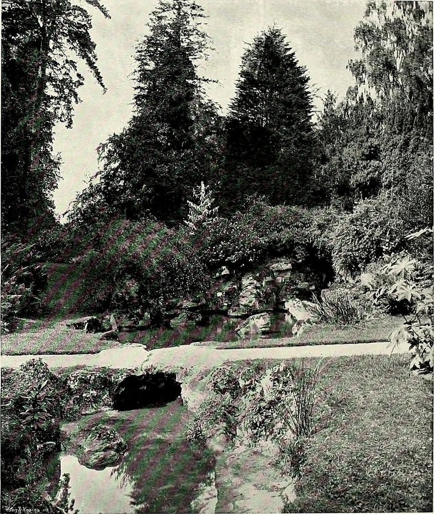 An illustration from Henderson's picturesque gardens and ornamental gardening illustrated, 1908, leaf 125