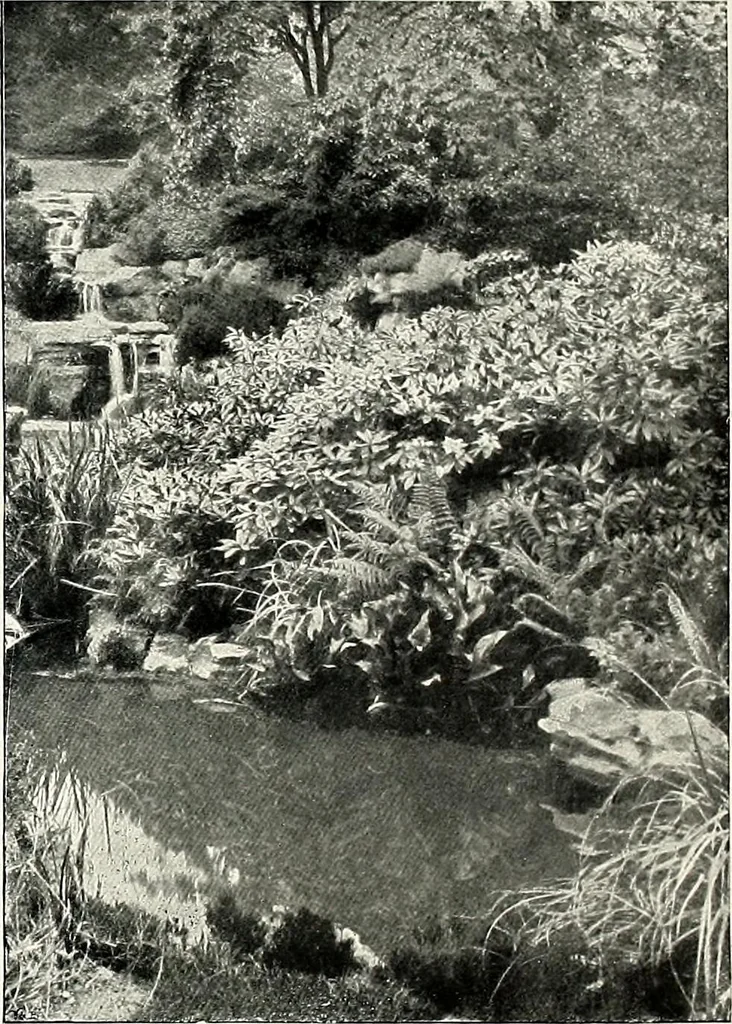 An illustration from Henderson's picturesque gardens and ornamental gardening illustrated, 1908, leaf 130