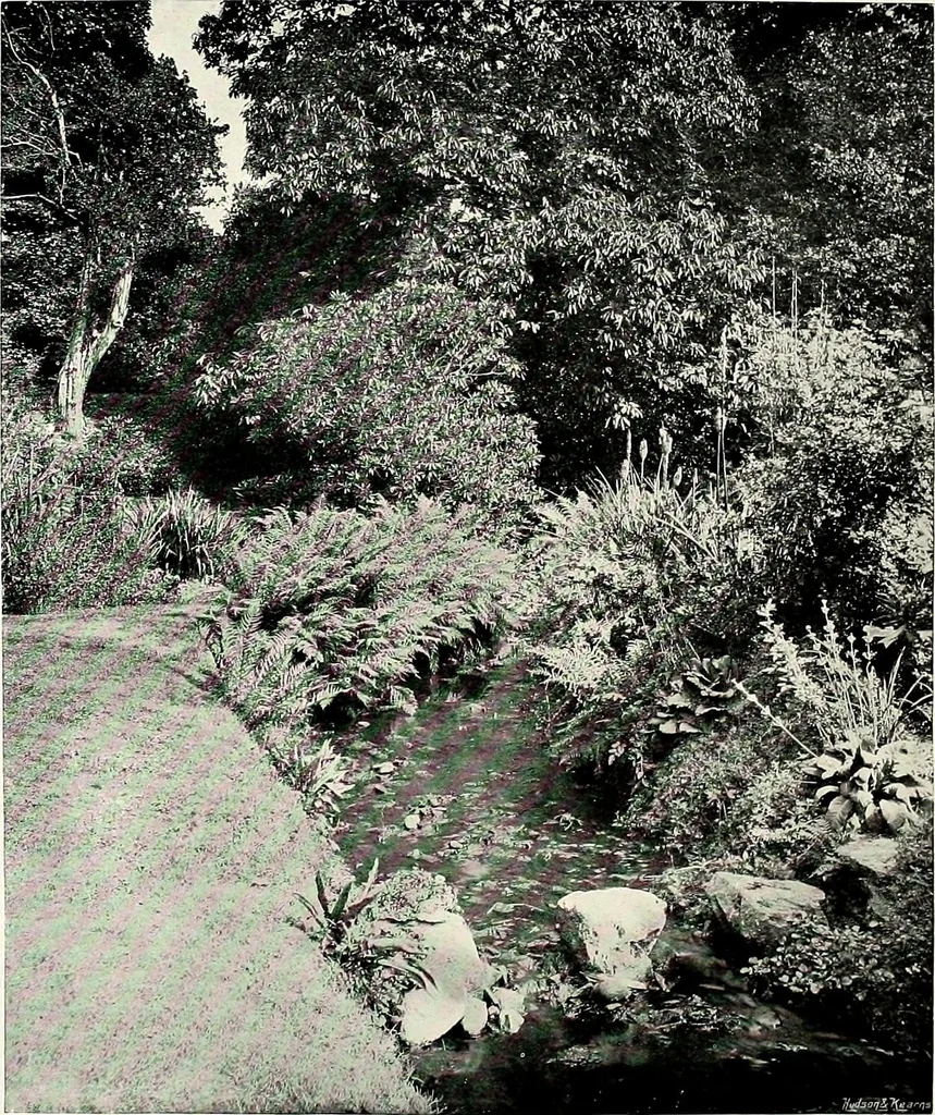 An illustration from Henderson's picturesque gardens and ornamental gardening illustrated, 1908, leaf 131
