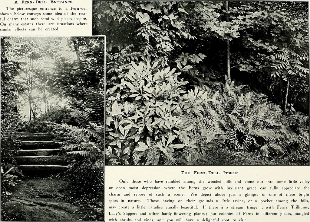 An illustration from Henderson's picturesque gardens and ornamental gardening illustrated, 1908, leaf 132