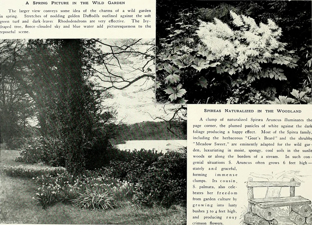 An illustration from Henderson's picturesque gardens and ornamental gardening illustrated, 1908, leaf 134