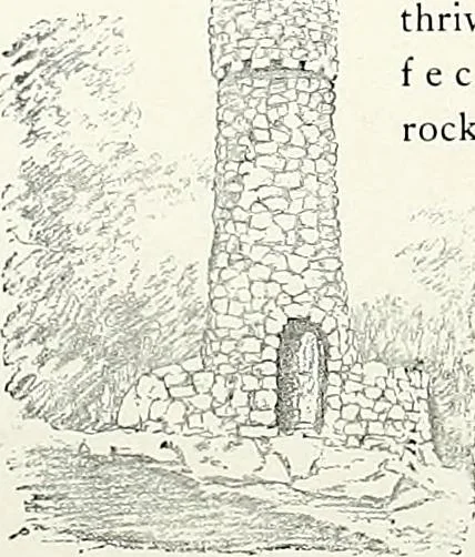 An illustration from Henderson's picturesque gardens and ornamental gardening illustrated, 1908, leaf 135