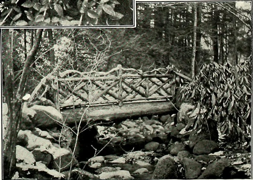 An illustration from Henderson's picturesque gardens and ornamental gardening illustrated, 1908, leaf 137