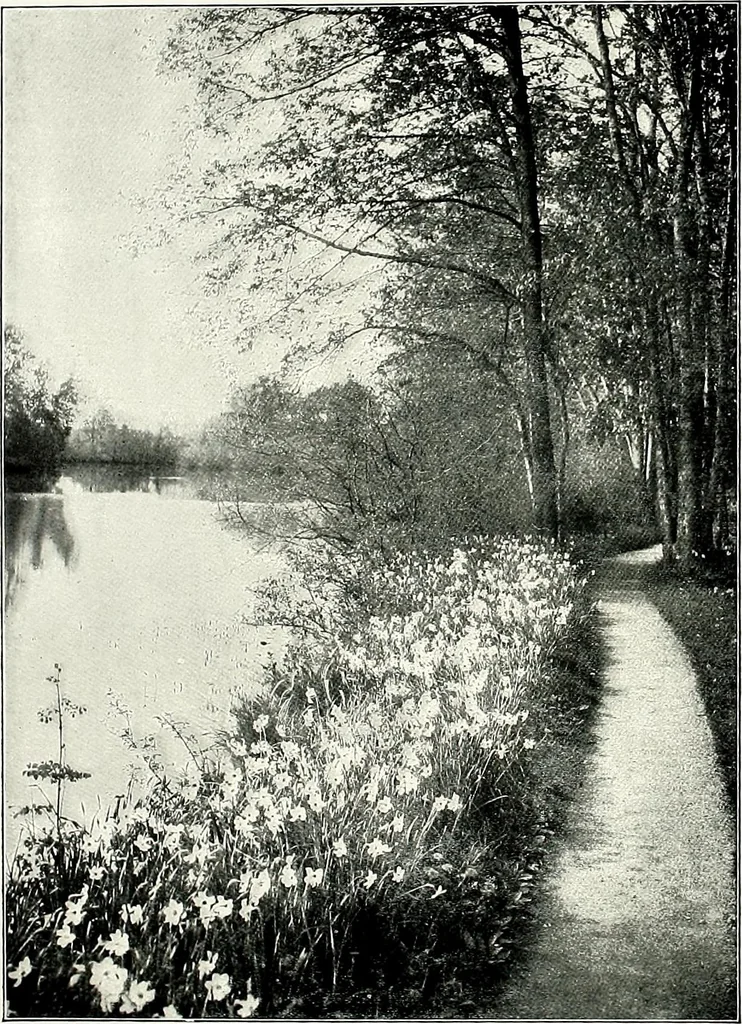 An illustration from Henderson's picturesque gardens and ornamental gardening illustrated, 1908, leaf 138