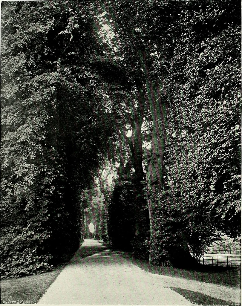 An illustration from Henderson's picturesque gardens and ornamental gardening illustrated, 1908, leaf 139