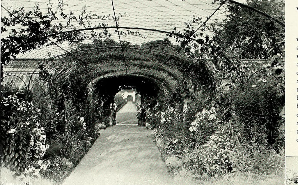 An illustration from Henderson's picturesque gardens and ornamental gardening illustrated, 1908, leaf 146