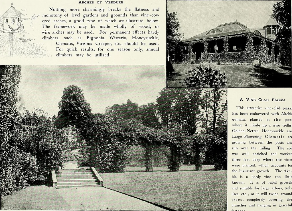 An illustration from Henderson's picturesque gardens and ornamental gardening illustrated, 1908, leaf 147