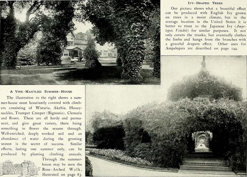 An illustration from Henderson's picturesque gardens and ornamental gardening illustrated, 1908, leaf 150