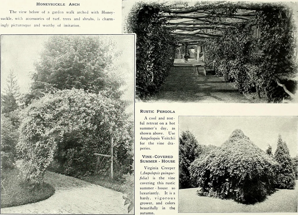 An illustration from Henderson's picturesque gardens and ornamental gardening illustrated, 1908, leaf 152
