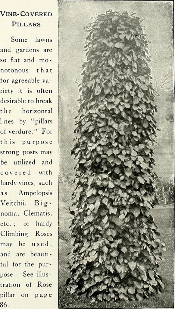 An illustration from Henderson's picturesque gardens and ornamental gardening illustrated, 1908, leaf 154
