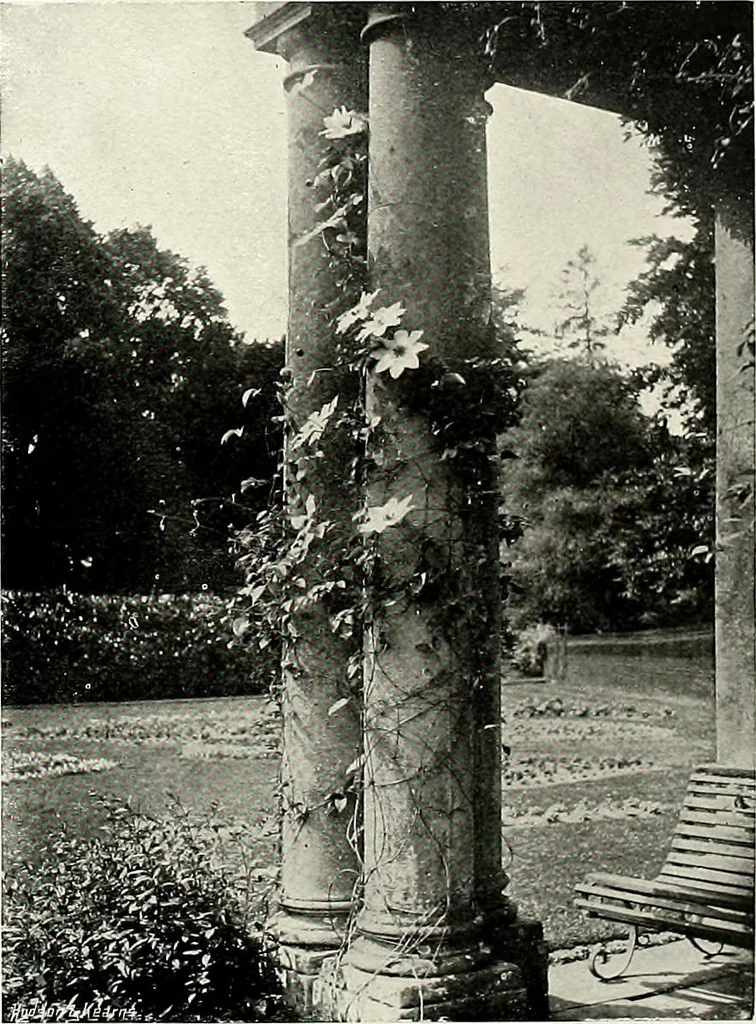 An illustration from Henderson's picturesque gardens and ornamental gardening illustrated, 1908, leaf 155