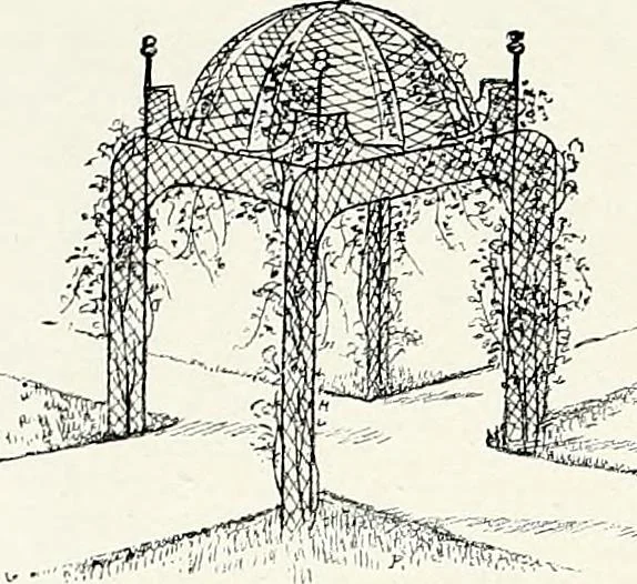 An illustration from Henderson's picturesque gardens and ornamental gardening illustrated, 1908, leaf 157