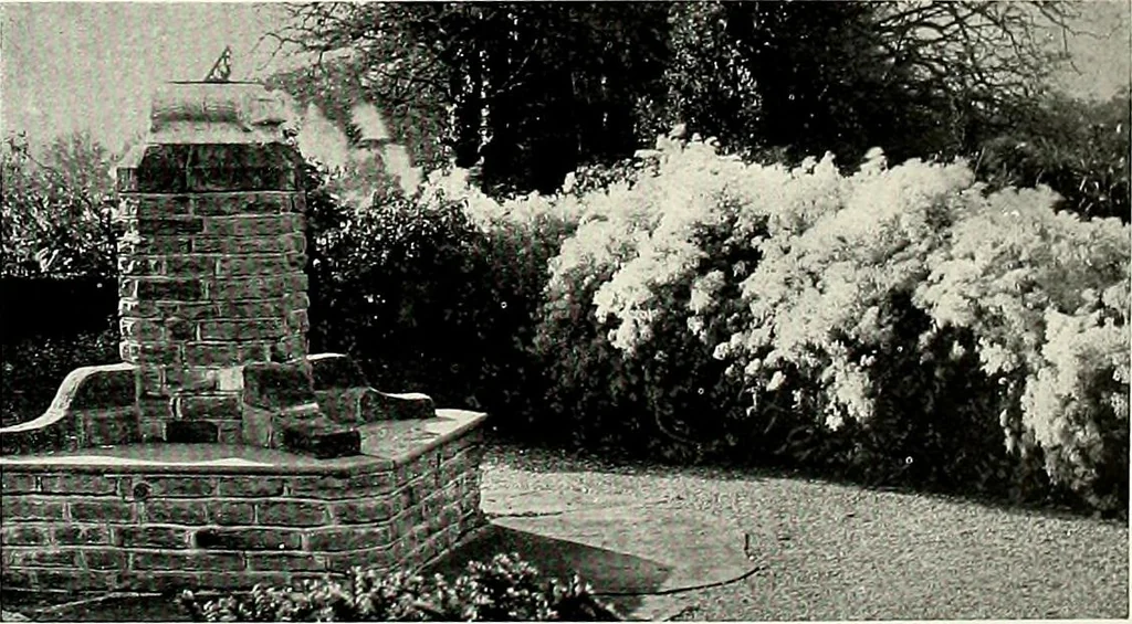 An illustration from Henderson's picturesque gardens and ornamental gardening illustrated, 1908, leaf 158