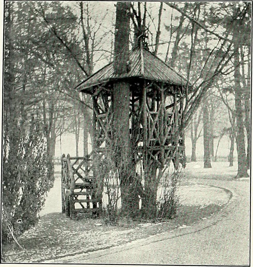 An illustration from Henderson's picturesque gardens and ornamental gardening illustrated, 1908, leaf 160