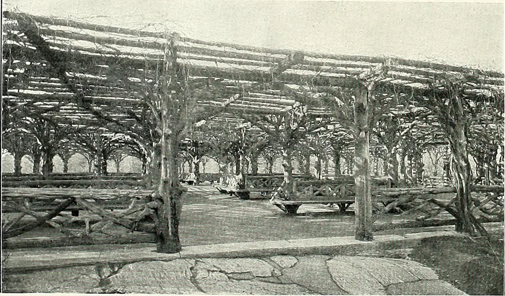 An illustration from Henderson's picturesque gardens and ornamental gardening illustrated, 1908, leaf 160