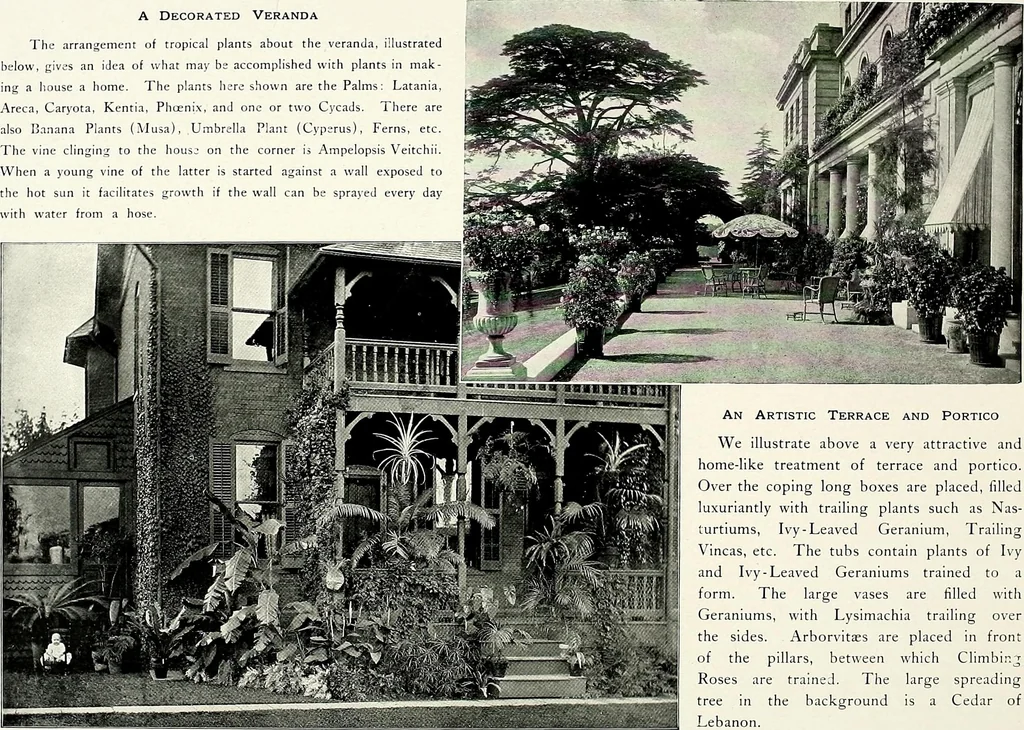 An illustration from Henderson's picturesque gardens and ornamental gardening illustrated, 1908, leaf 161