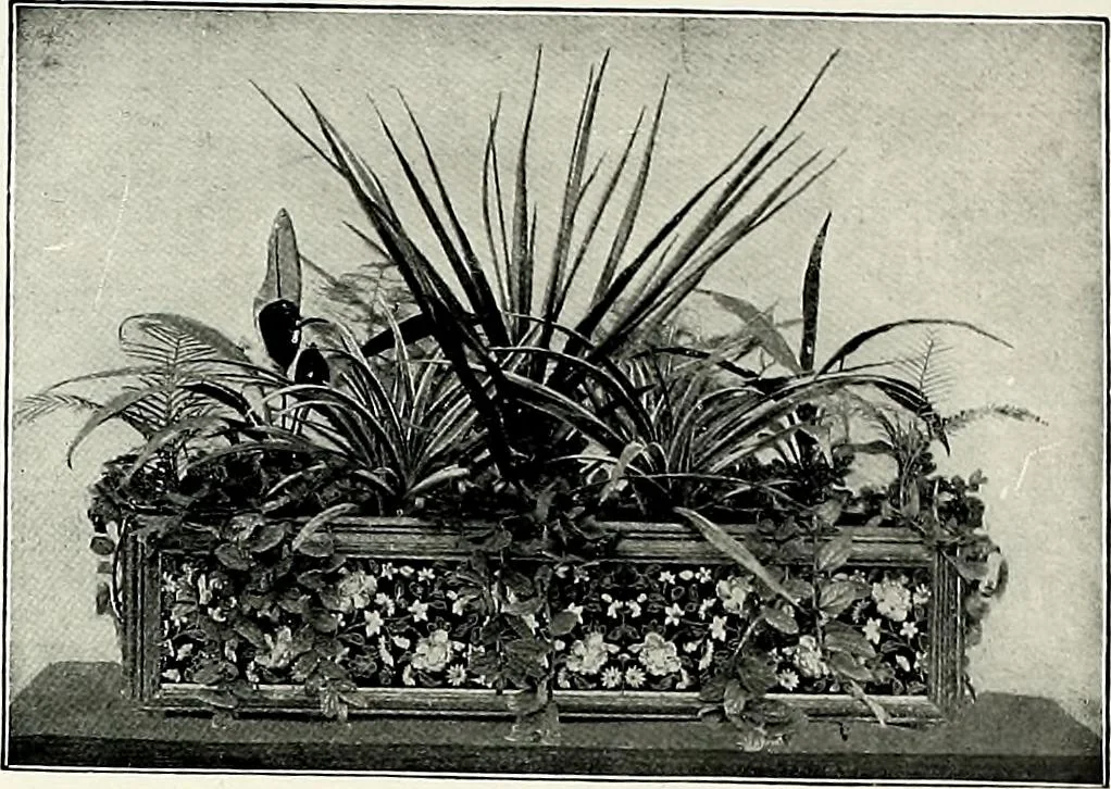 An illustration from Henderson's picturesque gardens and ornamental gardening illustrated, 1908, leaf 162
