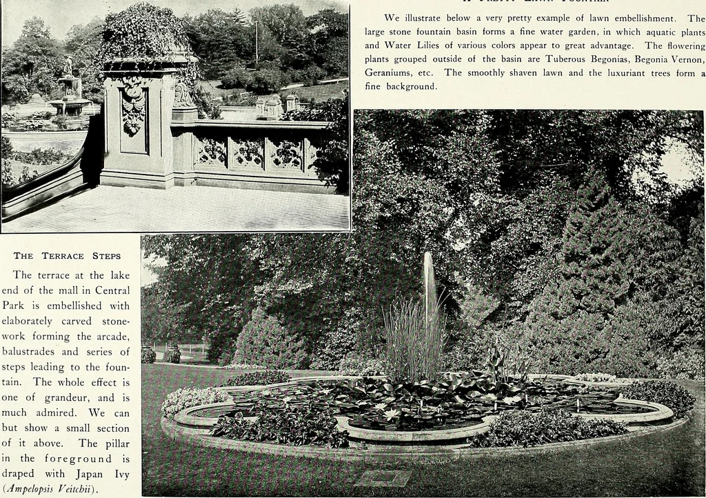 An illustration from Henderson's picturesque gardens and ornamental gardening illustrated, 1908, leaf 23