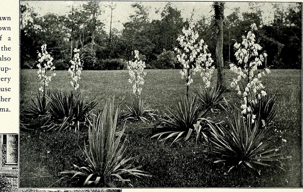 An illustration from Henderson's picturesque gardens and ornamental gardening illustrated, 1908, leaf 33