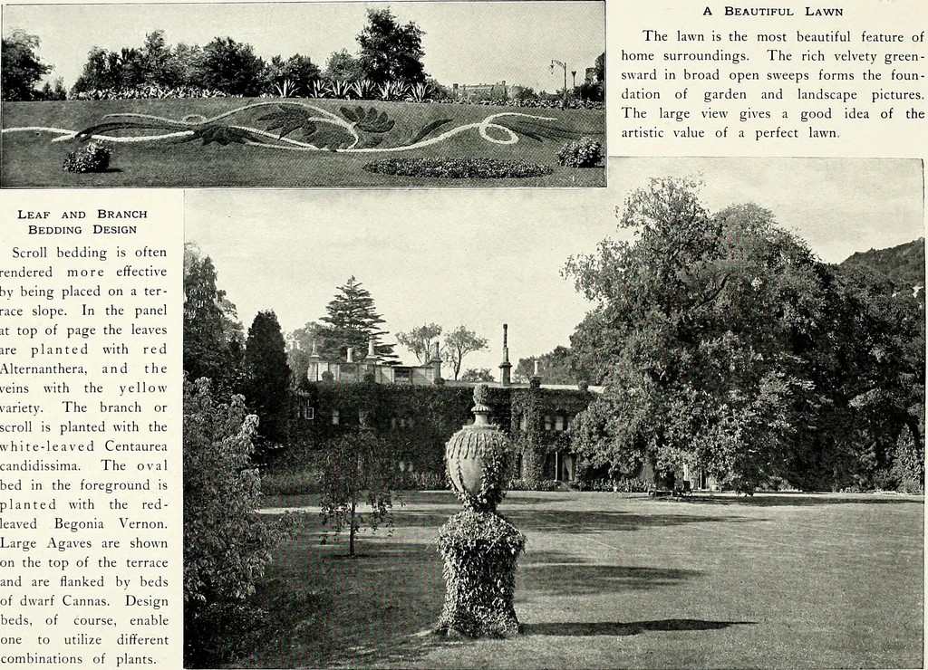 An illustration from Henderson's picturesque gardens and ornamental gardening illustrated, 1908, leaf 39