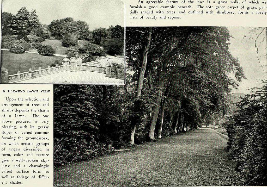 An illustration from Henderson's picturesque gardens and ornamental gardening illustrated, 1908, leaf 43